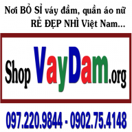 VayDam.org